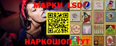 шишки Балашиха