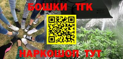 шишки Балашиха