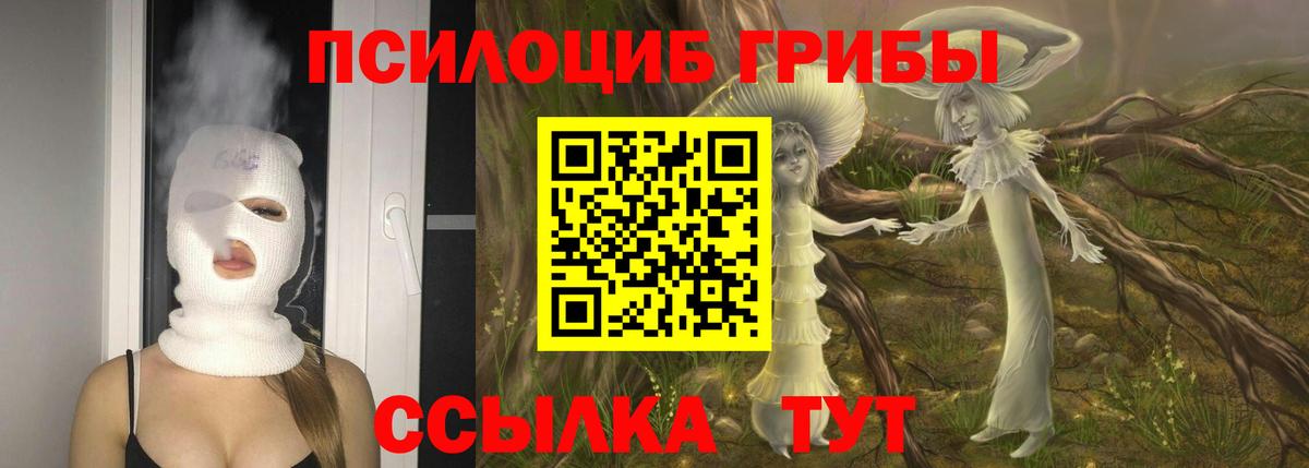 Галлюциногенные грибы прущие грибы  Псилоцибиновые грибы мухоморы  Елизово  Вход с VPN 